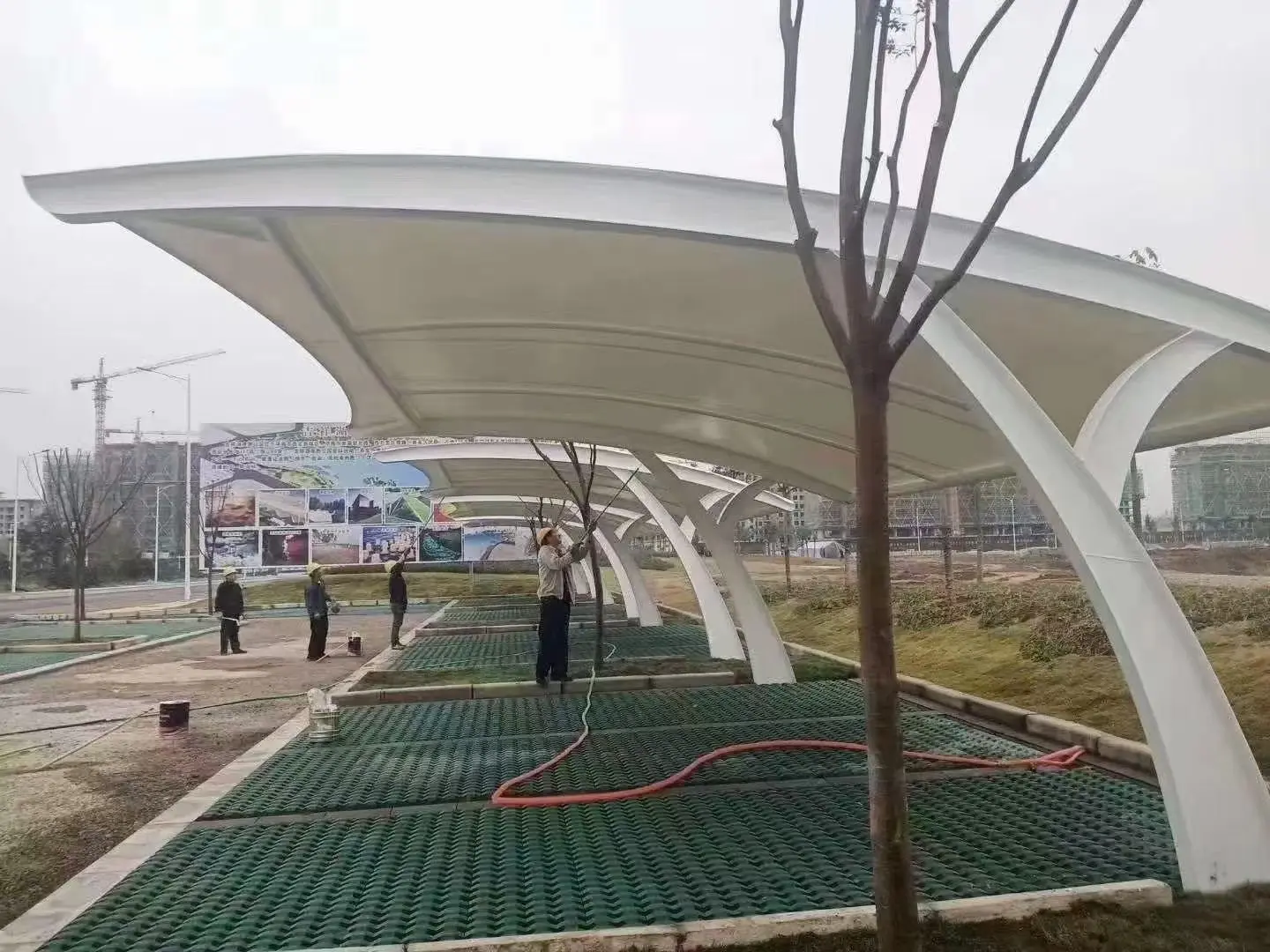 贵州习水膜结构车棚采购避坑指南:本地气候不同,别拿低价当性价比